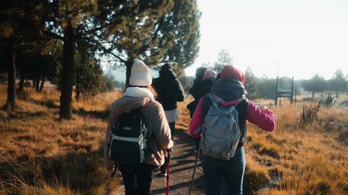 Hiking Adventure in Sunny Autumn Forest