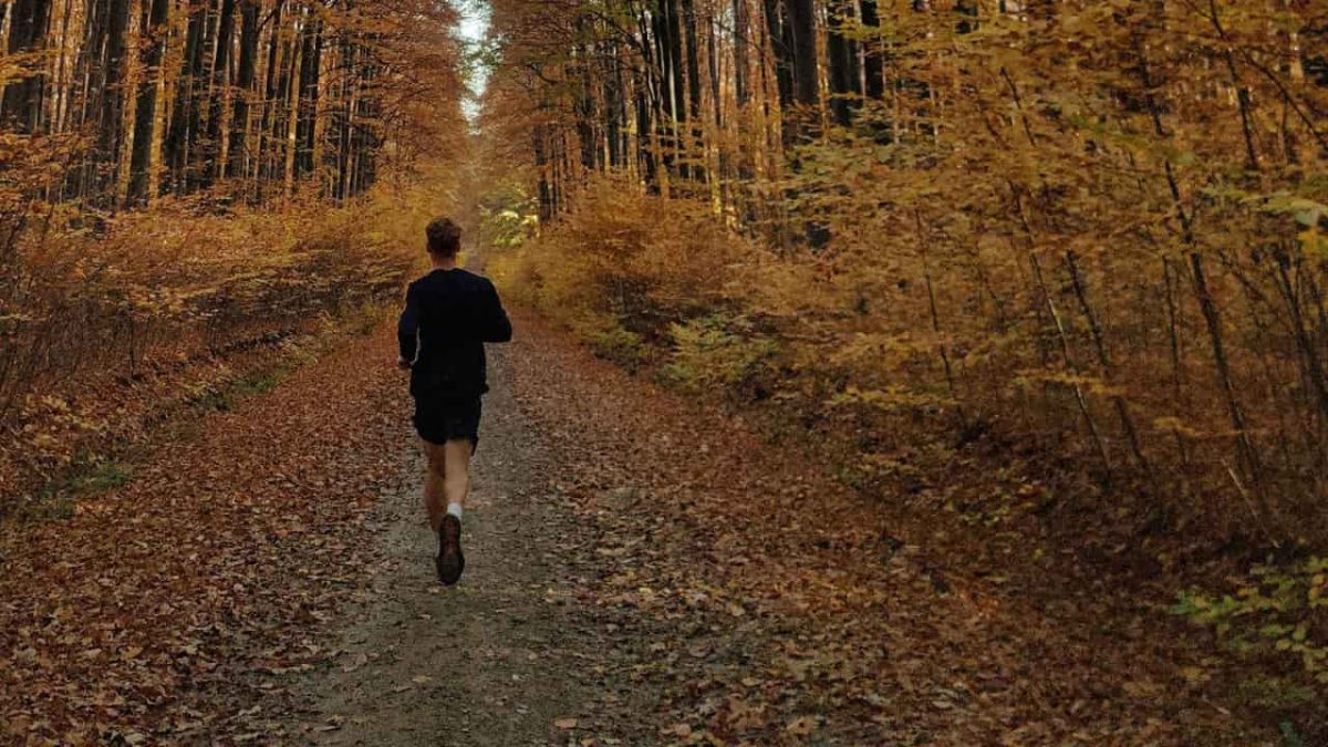 Person Trail Running Through Autumn Forest Pathway