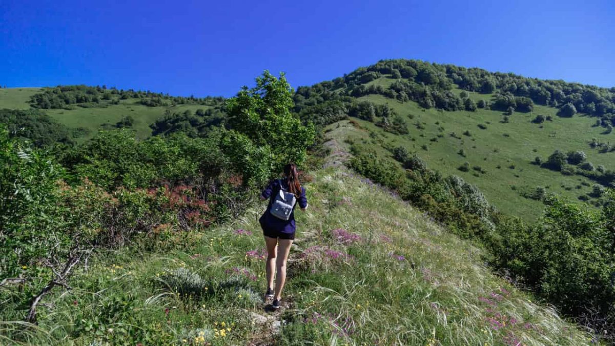 Start Hiking. Then Run a Section. How Most Ultrarunners Actually Got There walking & hiking