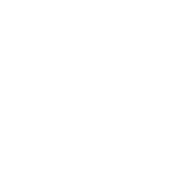 western states endurance run logo