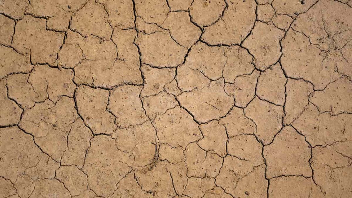 dried out dirt common in a desert
