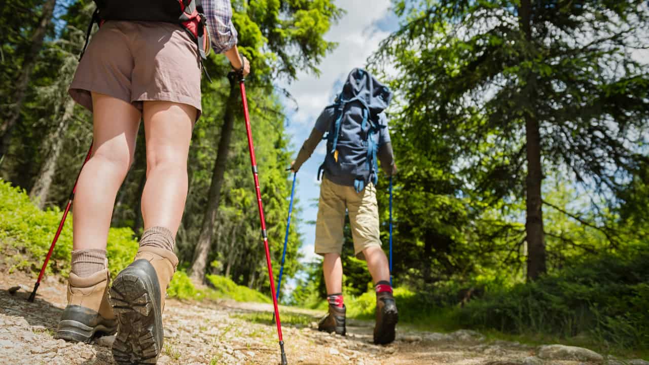 Why Hiking Poles